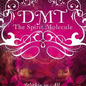 DMT: The Spirit Molecule (2010) photo 10