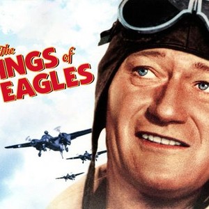 The Wings of Eagles photo 10
