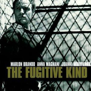 The Fugitive Kind (1960) photo 10
