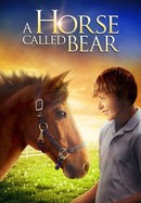 A Horse Called Bear poster image