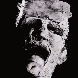 "The Evil of Frankenstein photo 2"