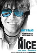Mr. Nice poster image