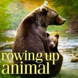 Growing Up Animal - Rotten Tomatoes