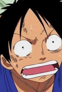 One Piece Season 11 Episode 24 Rotten Tomatoes