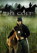 The Colt poster image