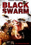Black Swarm poster image