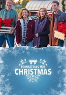 Poinsettias for Christmas poster image