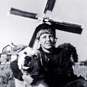 A Dog of Flanders (1959)