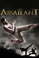 The Assailant