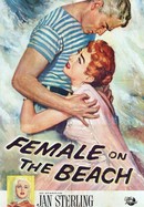 Female on the Beach poster image