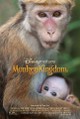 Monkey Kingdom
