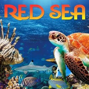 red sea movie review