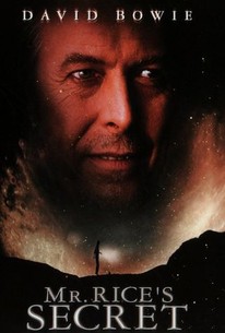 Mr. Rice's Secret poster