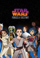 Star Wars: Forces of Destiny poster image