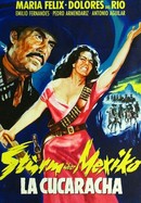 La Cucaracha poster image