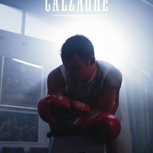 Mr Calzaghe (2015)