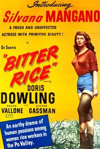 Bitter Rice poster