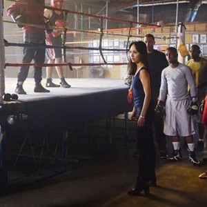 Linda Park - Rotten Tomatoes