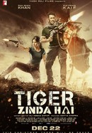 Tiger Zinda Hai poster image