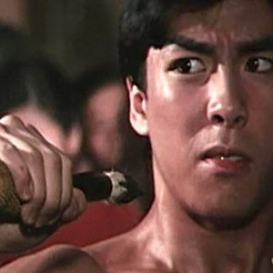 Drunken Tai Chi (1984) photo 5