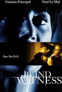 Watch trailer for Blind Witness