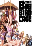 The Big Bird Cage poster image