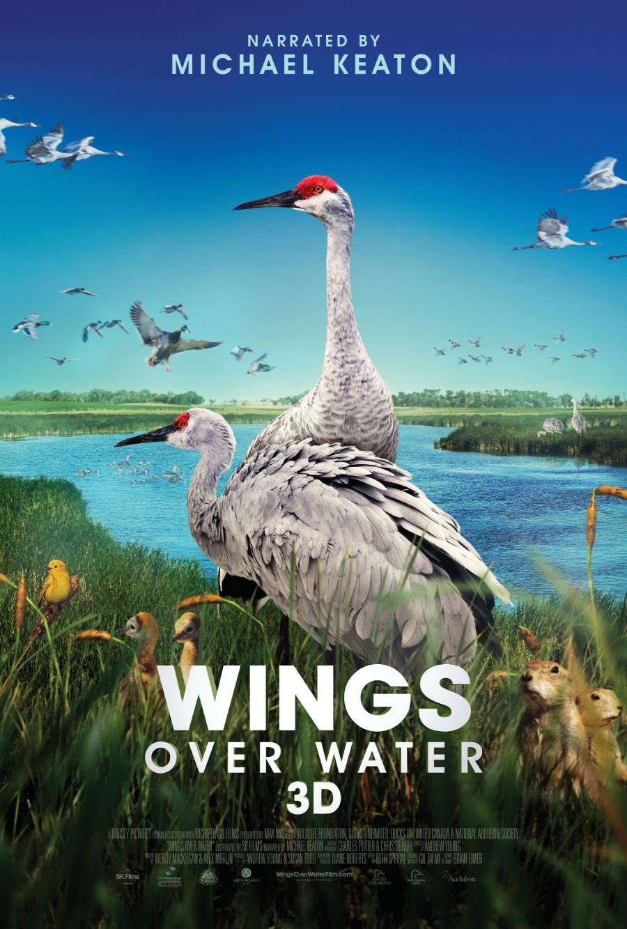 Wings Over Water Pictures Rotten Tomatoes