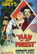 Man of the Forest poster image