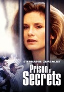 Prison of Secrets poster image