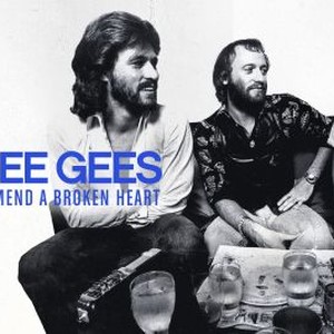 The Bee Gees: How Can You Mend a Broken Heart photo 16