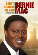 I Ain't Scared of You: A Tribute to Bernie Mac poster image