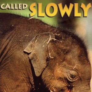 An Elephant Called Slowly (1970) photo 1