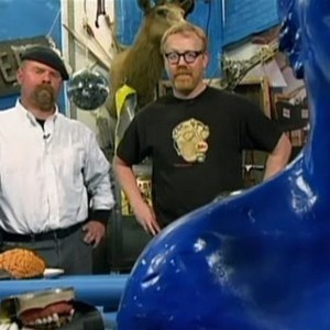 mythbusters season 5