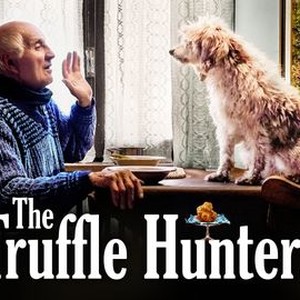 The truffle hunters shop watch online