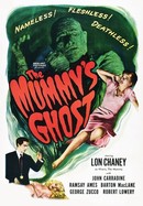 The Mummy's Ghost poster image