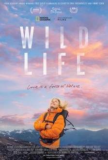 Wild Life (2023) | Rotten Tomatoes