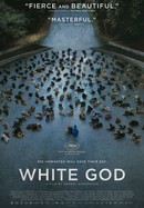 White God poster image