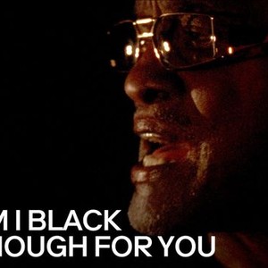 Am I Black Enough for You? photo 1