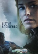 Little Accidents poster image