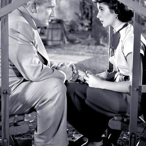 Father's Little Dividend (1951) photo 10