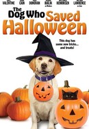 The Dog Who Saved Halloween poster image