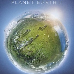 Most Disturbed Person on Planet Earth II (2014) - Trakt