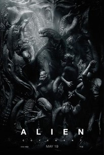 Xenomorph And Predator Having Sex - Alien: Covenant (2017) - Rotten Tomatoes