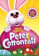 Here Comes Peter Cottontail poster image
