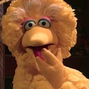 Sesame Street: Season 32, Episode 3 - Rotten Tomatoes