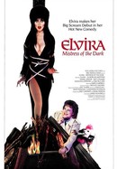 Elvira, Mistress of the Dark poster image