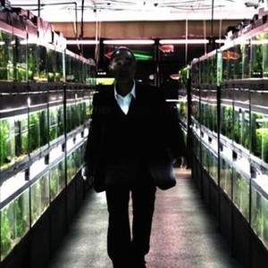 Cold Fish (2010) photo 19