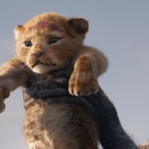 The Lion King (2019) photo 10