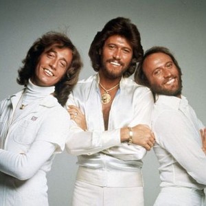 The Bee Gees: How Can You Mend a Broken Heart photo 4