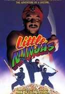 Little Ninjas poster image